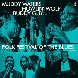 Folk festival of the blues