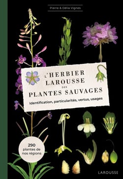 L'Herbier Larousse des plantes sauvages : Identification, particularités, vertus, usages