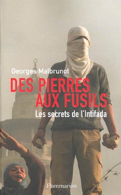 Des pierres aux fusils