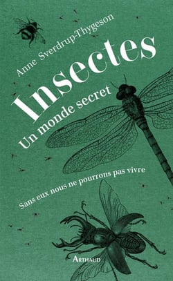 Insectes : un monde secret - sans eux nous ne pourrions pas vivre