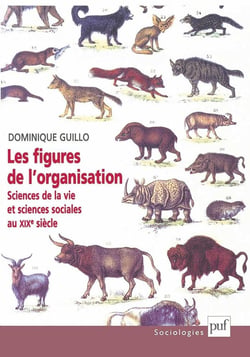 Les figures de l'organisation - sciences de la vie et sciences sociales au XIXe siècle