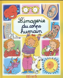 L'imagerie du corps humain