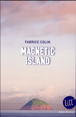 Magnetic island