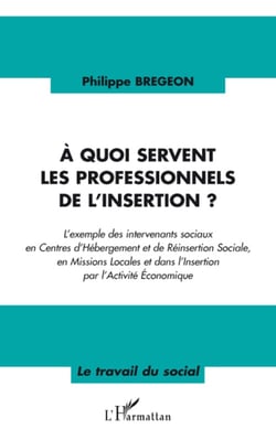 À quoi servent les professionnels de l'insertion ? - l'exemple des intervenants sociaux en centres d'hébergement et de réinsertion sociale, en missions locales et dans l'insertion par l'activité économique