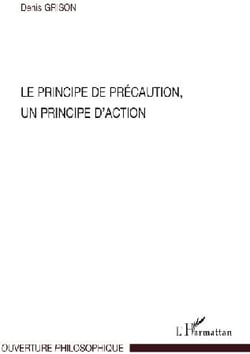 Le principe de précaution - un principe d'action