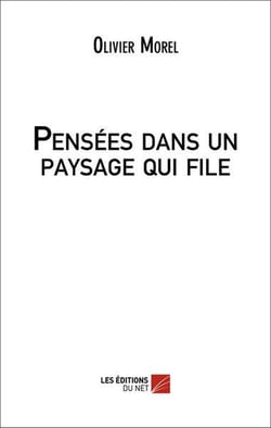 Pensees dans un paysage qui file