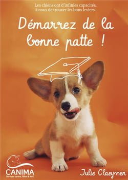 Démarrez de la bonne patte ! les chiens ont d'infinies capacités, à nous de trouver les bons leviers