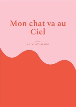 Mon chat va au ciel : dissertation