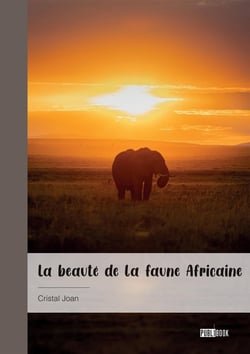 La beauté de la faune Africaine : Poésie & Photographies
