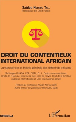 Droit du contentieux international africain - jurisprudence et théorie générale des differends africains