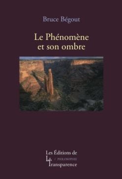 Le phénomène et son ombre