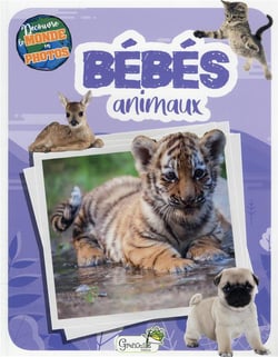 Bébés animaux