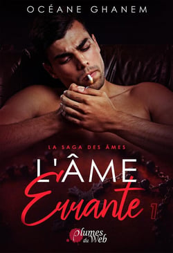 La saga des âmes Tome 3 - l'âme errante 1