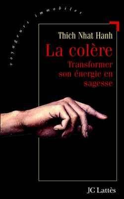 La colère : Transformer sonénergie en sagesse