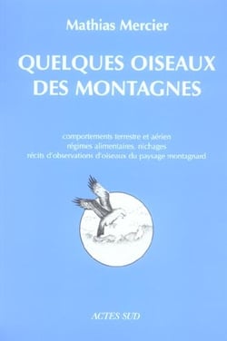 Quelques oiseaux des montagnes