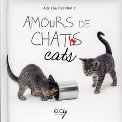 Amours de chats