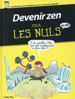 Devenir Zen Pour Les Nuls En Bd