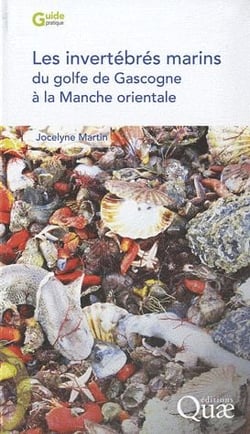Les invertébrés du Golfe de Gascogne à la Manche orientale