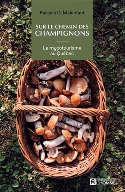 Sur le chemin des champignons : le mycotourisme au Québec