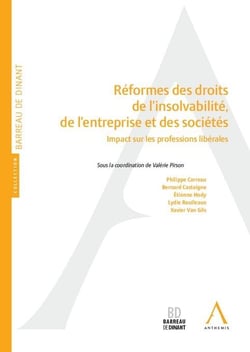 REFORMES DES DROITS DE L INSOLVABILITE, DE L ENTREPRISE ET DES SOCIETES