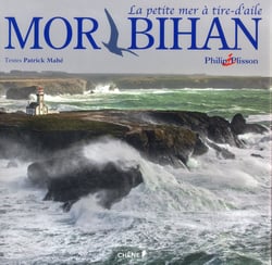 Morbihan - la petite mer à tire-d'aile