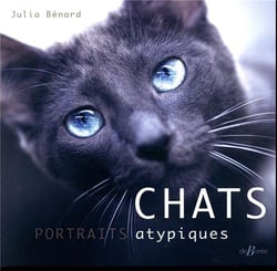 Chats, portraits atypiques