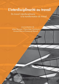 L'interdisciplinarité au travail : Du travail interdisciplinaire à la transformation du travail