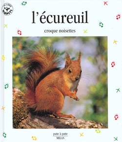 L'ecureuil croque noisettes