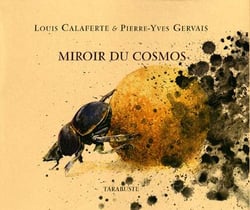 Miroir du cosmos - louis calaferte / pierre-yves gervais