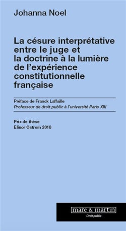 La césure interprétative entre le juge et la doctrine - à la lumière de l'expérience constitutionnelle française