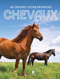 Chevaux - un univers extraordinaire