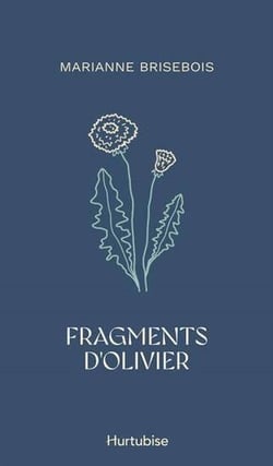 Fragments d'olivier