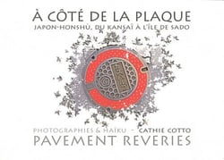 À côté de la plaque - pavement rêveries