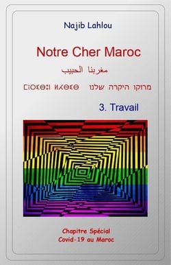 Notre cher Maroc t.3 : travail