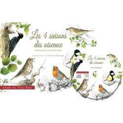 4 saisons des oiseaux : chants et cris au fil des mois