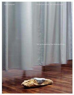 Edith Dekyndt : Tell us something that nobody knows