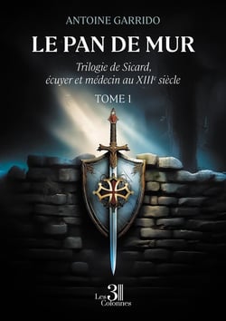 Le pan de mur : Trilogie de Sicard, écuyer et médecin au XIIIe siècle - Tome 1
