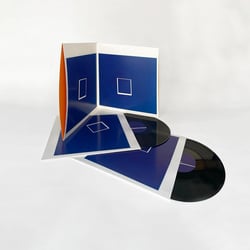 Beaucoup Fish - Vinyle