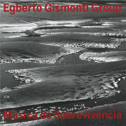 Música de Sobrevivência