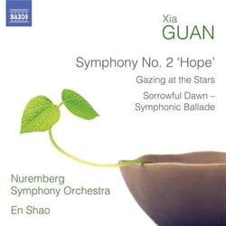 Symphonie n° 2 « hope » - earth requiem : i. gazing at the stars: meditation (version orchestrale)
