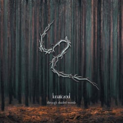 Through Shaded Woods - Vinyle