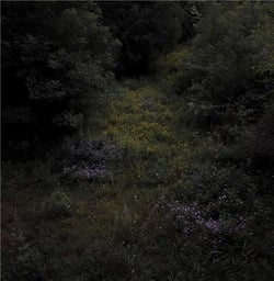 Higher Lonely Power - édition colorée