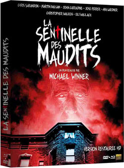La Sentinelle des maudits