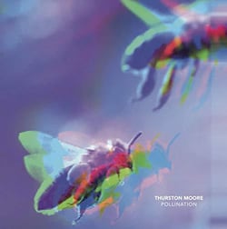 Pollination - Leave me alone