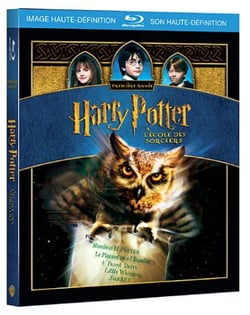 Harry Potter à l'école des sorciers