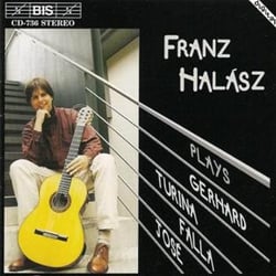 Spanish guitar