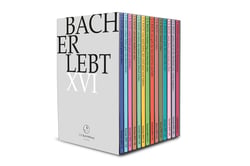 Bach Erlebt XVI