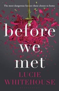 BEFORE WE MET