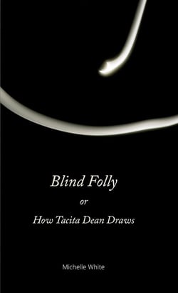 Blind folly or how tacita dean draws