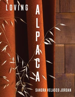 Loving Alpaca
